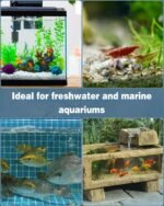 Pawfly Pre-Filter Sponge Fish Tank Filter, Fry Protection High-Density Filter Sponge for Mechanical Filtration, 12 Pack - Image 8