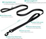 Heavy Duty Dog Leash - 2 Handles by Padded Traffic Handle for Extra Control, 6foot Long - Perfect for Medium to Large Dogs (6 ft, Black) - Image 3