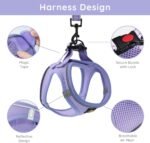 BELLA & PAL Puppy Harness with Leash Set, Dog Harness for Small Dogs No Pull, Dog Leash for Puupy, Step in Harness for Extra Small Dogs (Lavender, S) - Image 4