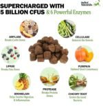 Deley Naturals Probiotics Plus Chews for Dogs - Gut Health Supplement with 5 Billion CFUs, Digestive Enzymes & Probiotics - Pumpkin Flavor Probiotic Chews for Allergies, Diarrhea & Yeast - 90 Chews - Image 3