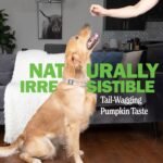 Deley Naturals Probiotics Plus Chews for Dogs - Gut Health Supplement with 5 Billion CFUs, Digestive Enzymes & Probiotics - Pumpkin Flavor Probiotic Chews for Allergies, Diarrhea & Yeast - 90 Chews - Image 5