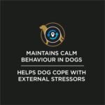 Purina Pro Plan Veterinary Supplements Calming Care Powdered Dog Calming Probiotic - 1 g Sachet (30 Pack) - Image 5