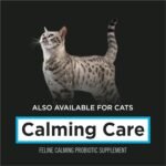 Purina Pro Plan Veterinary Supplements Calming Care Powdered Dog Calming Probiotic - 1 g Sachet (30 Pack) - Image 8