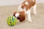 Wobble Wag Giggle Ball, Interactive Dog Toy, Fun Giggle Sounds When Rolled or Shaken, Pets Know Best, As Seen On TV, NOT A CHEW TOY - Image 3