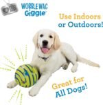 Wobble Wag Giggle Ball, Interactive Dog Toy, Fun Giggle Sounds When Rolled or Shaken, Pets Know Best, As Seen On TV, NOT A CHEW TOY - Image 8