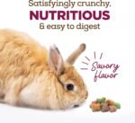 Living World Canadian Rabbit and Guinea Pig Treats - 60 - Image 5