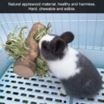 Wooden Pet Stand with Food Holder, Natural Rabbit Teeth Cleaning Toy, Grinding Tree for Small Animals - Image 3