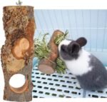 Wooden Pet Stand with Food Holder, Natural Rabbit Teeth Cleaning Toy, Grinding Tree for Small Animals - Image 8
