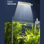 1.5 Gallon Fish Tank Starter Kits, Nano Glass Aquarium with Filter, Led Light for Aquascape DIY Small Betta Fish Tank - Image 4
