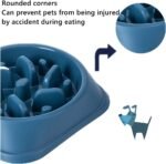 Fun Feeder Slow Bowl, Dog Slow Feeders Bowls Anti-Obesity&Choking&Overeating, Dog Puzzle Healthy Anti-Slip Lick Treat Bowls Dishes Maze Interactive Puzzle (Blue) - Image 8