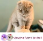4 Pieces Ghost Hunting Cat Ball Multi-Color Flash LED Glowing Interactive Ball Pet Toys for Dog Cat Animals Activity - Image 6