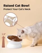 LoeJan Elevated Cat Food Bowl, 5 Oz Ceramic Raised and Tilted Pet Water Bowl, Anti Vomiting and Protect Pets' Spines Cat Dishes for Small Dog, Fat Faced Cat, Kitten (White, 5 OZ) - Image 6