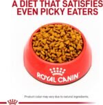 Royal Canin Veterinary Diet Gastrointestinal Fiber Response Dry Cat Food 8.8 lb - Image 3