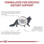 Royal Canin Veterinary Diet Gastrointestinal Fiber Response Dry Cat Food 8.8 lb - Image 4