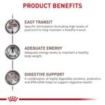 Royal Canin Veterinary Diet Gastrointestinal Fiber Response Dry Cat Food 8.8 lb - Image 5