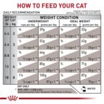 Royal Canin Veterinary Diet Gastrointestinal Fiber Response Dry Cat Food 8.8 lb - Image 10