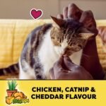 TEMPTATIONS Mix-Ups Cat Treats, Catnip (Chicken, Catnip & Cheddar Flavour), 454g Tub - Image 4