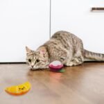Andiker Cat Catnip Toy, 6 Pcs Fruit Type Cat Chew Toy with Catnip, Soft&Cute Plush Cat Toys for Indoor Cats to Playing Chewing Teeth Cleaning Cat Interactive Toys (6pcs) - Image 5