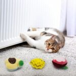 Andiker Cat Catnip Toy, 6 Pcs Fruit Type Cat Chew Toy with Catnip, Soft&Cute Plush Cat Toys for Indoor Cats to Playing Chewing Teeth Cleaning Cat Interactive Toys (6pcs) - Image 6