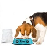 JMIPET Personalized Custom Name Stainless Steel Pet Bowls - Non-Slip Dog & Cat Food/Water Dish for Puppy/Chien, Large/Medium/Small Sizes, Durable Gamelle & BOL for Your Beloved Pet - Image 5