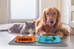 JMIPET Personalized Custom Name Stainless Steel Pet Bowls - Non-Slip Dog & Cat Food/Water Dish for Puppy/Chien, Large/Medium/Small Sizes, Durable Gamelle & BOL for Your Beloved Pet - Image 6