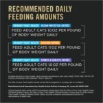 Pro Plan Wet Cat Food, Urinary Tract Health, Variety Pack 85g can (12 pack) (Packaging May Vary), Brown - Image 11