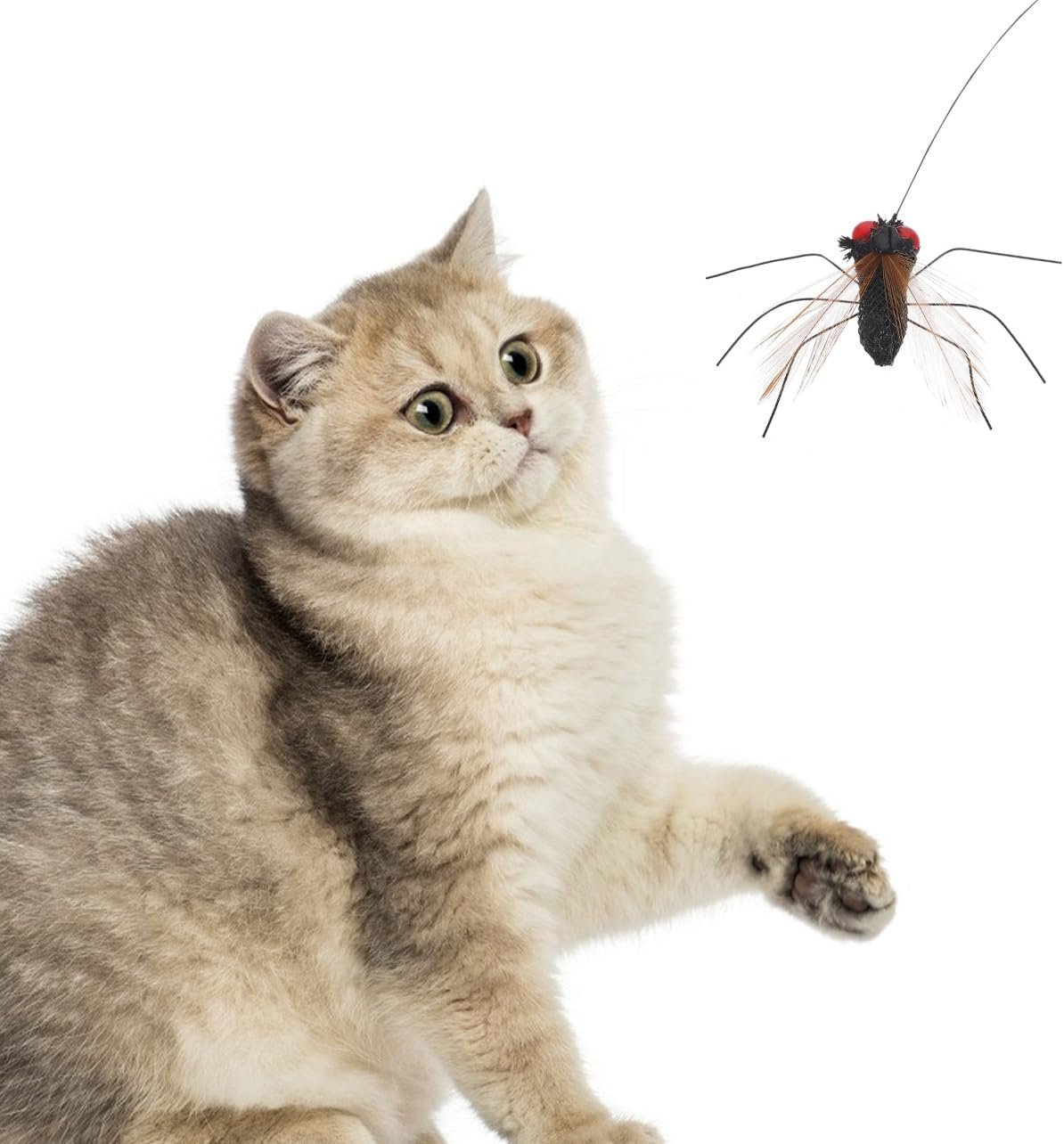 Milisten 2pcs Realistic Replacement Heads Interactive Cat Bugs Teaser for Indoor Kitten Play Long String - Image 6