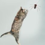 Milisten 2pcs Realistic Replacement Heads Interactive Cat Bugs Teaser for Indoor Kitten Play Long String - Image 7