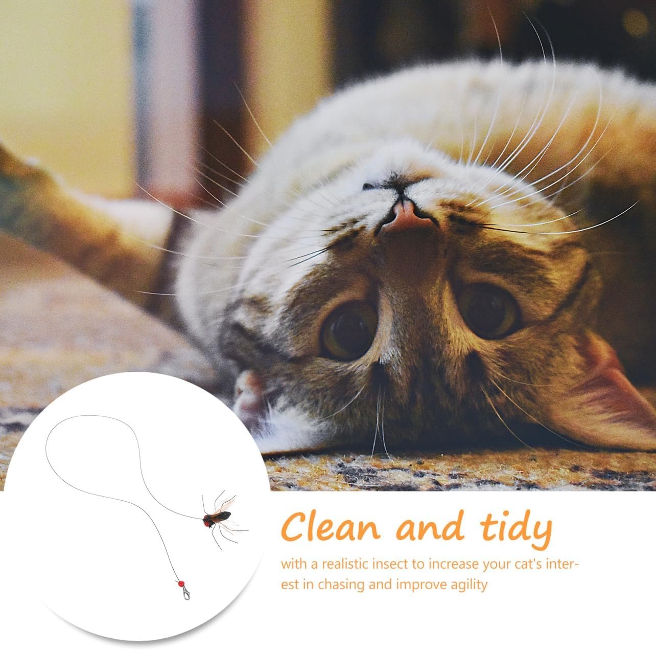 Milisten 2pcs Realistic Replacement Heads Interactive Cat Bugs Teaser for Indoor Kitten Play Long String - Image 8