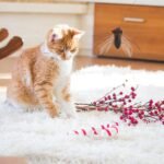 Milisten 2pcs Realistic Replacement Heads Interactive Cat Bugs Teaser for Indoor Kitten Play Long String - Image 10