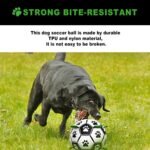 KALINCO Dog Soccer Ball with Grab Tabs, Interactive Dog Toys, Dog Water Toy, Tug of War Dog Toy, Herding Ball for Small & Medium Dogs - Image 5