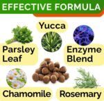 STRELLALAB No Poo Treats for Dogs - Coprophagia Stool Eating Deterrent - No Poop Eating for Dogs - Digestive Enzymes - Gut Health & Immune Support - Stop Eating Poop - Poultry Liver Flavor 180 Chews - Image 5