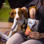 Nulo Freestyle Trainers Dog Treats: Grain Free Dog Training Treats - Healthy Low Calorie Treat Reward for Adult and Puppy Dogs - Gluten Free Dog Treat for Any Size or Breed - Turkey Recipe - 4 oz Bag - Image 6