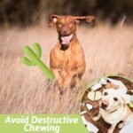 MewaJump Dog Chew Toys, Durable Rubber Dog Toys for Aggressive Chewers, Cactus Tough Toys for Training and Cleaning Teeth, Interactive Dog Toys for Medium/Large Dog - Image 6
