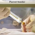 Baby Bird Feeding Kit 6PCS/Set 50ml Baby Birds Feeding Syringe with Hose and Spoons Hand Device with Scale and Positioning Screw for Sick Bird - Image 3