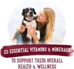 Beneful Prepared Meals Wet Dog Food, Beef Stew - 283 g Tub (8 Pack) - Image 7