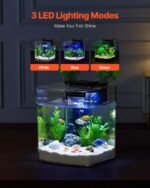VEVOR Fish Tank Aquarium, 2 Gallon Arch Ultra-Clear GPPS Starter Smart Tank Adjustable 3 Color Lighting, Self Cleaning System Fishbowl for Freshwater & Saltwater Fish Home, Office, or Pet Use - Image 4