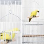 PawHut 36" Bird Cage for Finches, Canaries Budgies, Parrot Cage with Accessories, Handle, White - Image 10