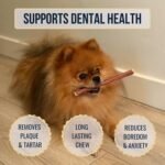 Bully Sticks 6 Inch Standard 6 Pack Odorless for Dogs – Single Ingredient, 100% Natural Grass-Fed Beef Chews in Resealable Pouch, Long-Lasting Rawhide-Free Dental Treats, High in Protein - Image 7