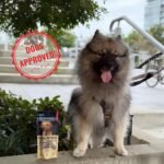 Bully Sticks 6 Inch Standard 6 Pack Odorless for Dogs – Single Ingredient, 100% Natural Grass-Fed Beef Chews in Resealable Pouch, Long-Lasting Rawhide-Free Dental Treats, High in Protein - Image 8