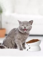 Y YHY Cat Bowl, Raised Tilted Cat Food Bowls, Elevated Cat Bowls Anti Vomiting, Ceramic Pet Food Bowl for Flat-Faced Cats, Small Dogs, Protect Pet's Spine, Prevents Whisker Fatigue, Dishwasher Safe - Image 5