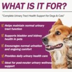 UT Aid Plus for Cats & Dogs – Natural Urinary Tract & Bladder Support Supplement – Promotes Kidney Health & Comfort – Antibiotic-Free Formula – 30 Capsules (NN.F3G9) - Image 3