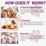 UT Aid Plus for Cats & Dogs – Natural Urinary Tract & Bladder Support Supplement – Promotes Kidney Health & Comfort – Antibiotic-Free Formula – 30 Capsules (NN.F3G9) - Image 4