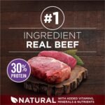 Purina ONE True Instinct High Protein Dry Dog Food, Beef & Bison - 12.4 kg Bag - Image 5