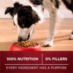 Purina ONE True Instinct High Protein Dry Dog Food, Beef & Bison - 12.4 kg Bag - Image 8