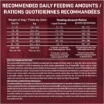 Purina ONE True Instinct High Protein Dry Dog Food, Beef & Bison - 12.4 kg Bag - Image 10