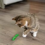 Petstages Orkakat Wiggle Worm Dental Catnip Cat Chew Toy - Image 9
