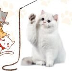 6 Pack Cat Wand Toy, Interactive Cat Rainbow Wand Toys, Interactive Cat Teaser Wand String, Colorful Ribbon Charmer for Kitten Cat Exerciser Playing - Image 5