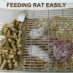 Large Lab Mouse Cage, Laboratory Rat Rodent Breeding Cage Cage, Animal Mouse Cage (M) - Image 8