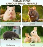 Large Lab Mouse Cage, Laboratory Rat Rodent Breeding Cage Cage, Animal Mouse Cage (M) - Image 9